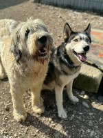 /album/188/whatsapp-image-2025-12-09-at-17-59-45-2-jpeg/